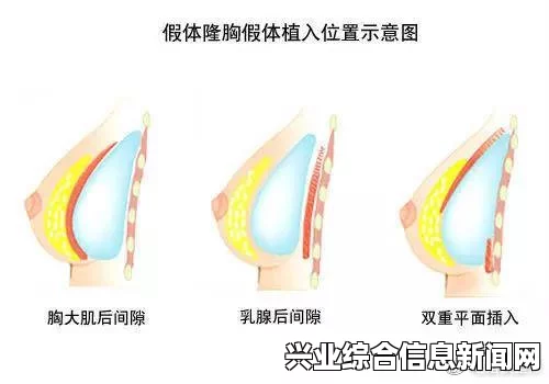 全境封锁图文攻略，汤姆克兰西玩法系统深度解析与攻略全掌握