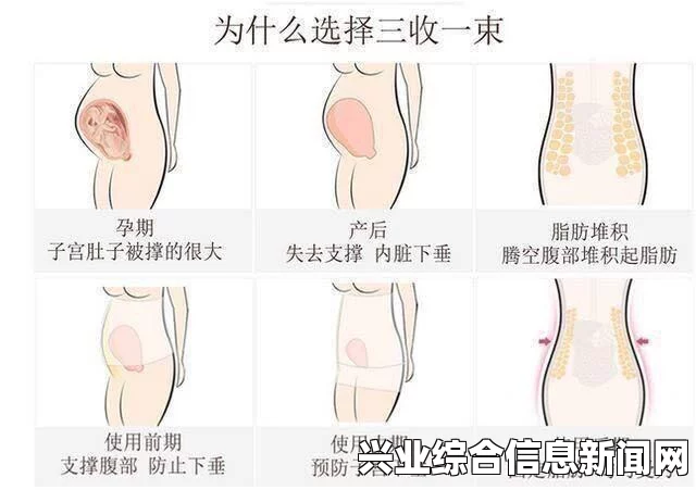 背景介绍