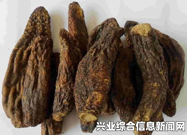 星露谷物语红色木头获取方法解析攻略