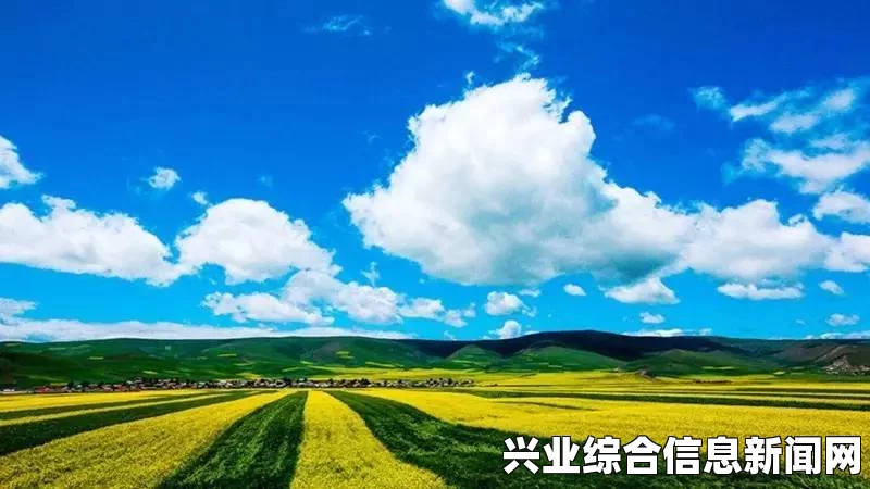 刺客信条叛变存档转换攻略及常见问题解答
