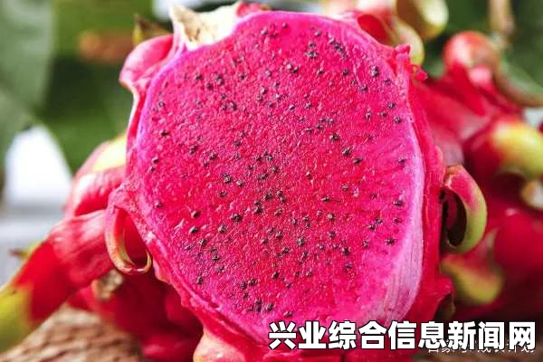 合金装备5，幻痛 无损游戏原声音乐大碟分享