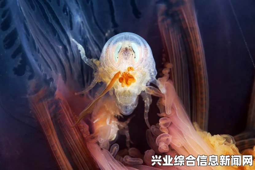 蝙蝠侠阿卡姆骑士挑战模式潜行攻略