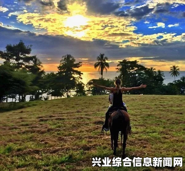 蝙蝠侠阿卡姆骑士与刺客联盟的隐秘世界