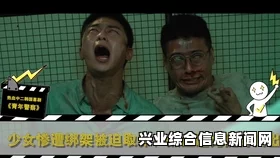 新增内容概述