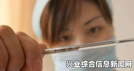 暴力娱乐游戏背后的仇恨与虚幻交织，深度解说与剖析