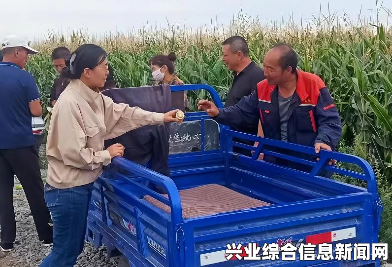 关于旗帜的传说这款游戏闪退问题的解决方法