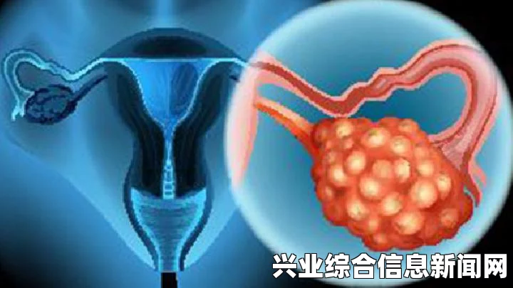 上古卷轴5，独立随从—黑珍珠重置第二版1.4更新详解