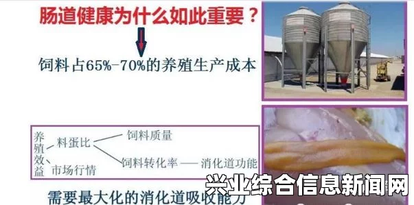 睾丸炎的药物治疗全解析