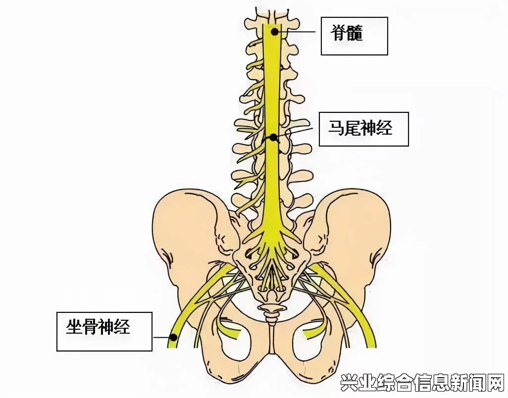 腰椎间盘突出的十大禁忌，你必须知道！