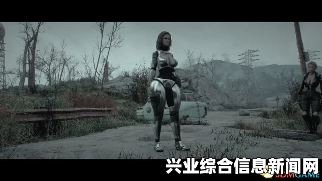 辐射4胸部服装MOD合集，各种风格胸部服装福利MOD