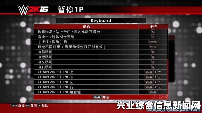 WWE 2K16操作指南，新手必学技巧与按键说明