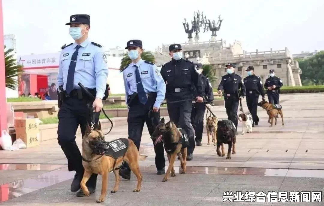 辐射4机械守卫全流程生存难度全剧情视频攻略