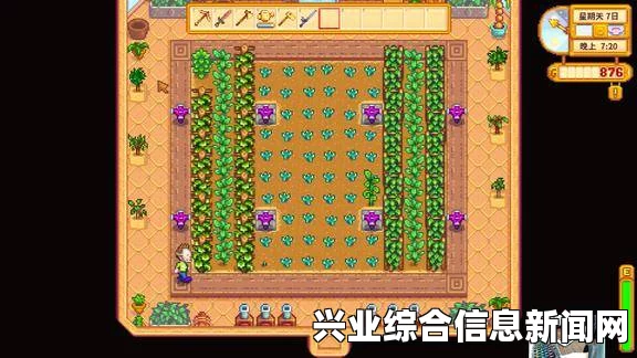 星露谷物语温室种植利益最大化策略详解与攻略分享