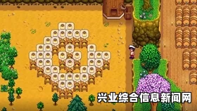 黑暗之魂2原罪学者全誓约每级奖励一览及问答环节