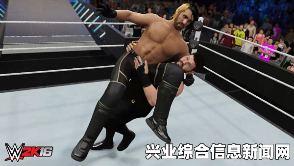 WWE 2K16 PC版画质增强补丁分享，优化攻略助你提升游戏体验