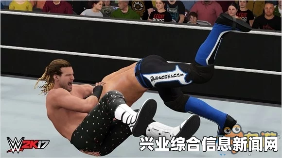 WWE 2K16 PC版画质增强补丁分享，提升游戏体验的画质优化攻略