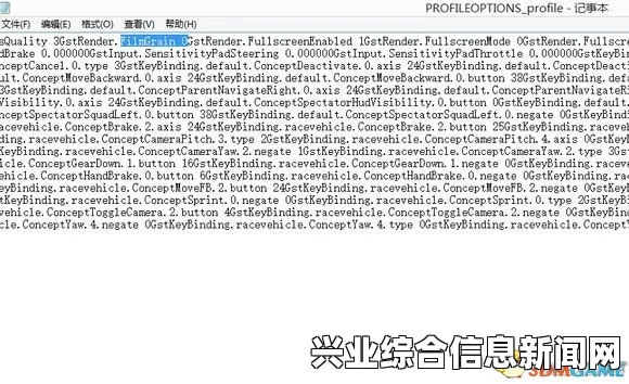 极品飞车19，画面噪点效果关闭方法详解攻略