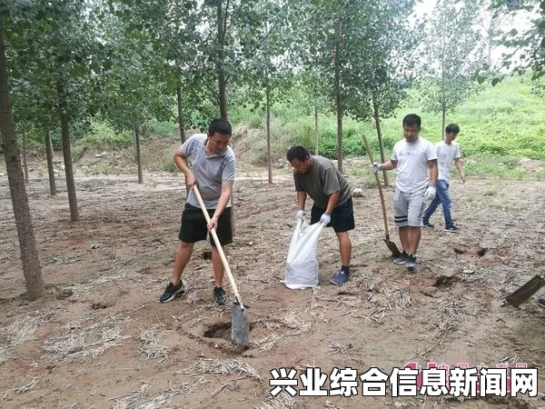 全境封锁，医疗技能加点全攻略与技巧分享