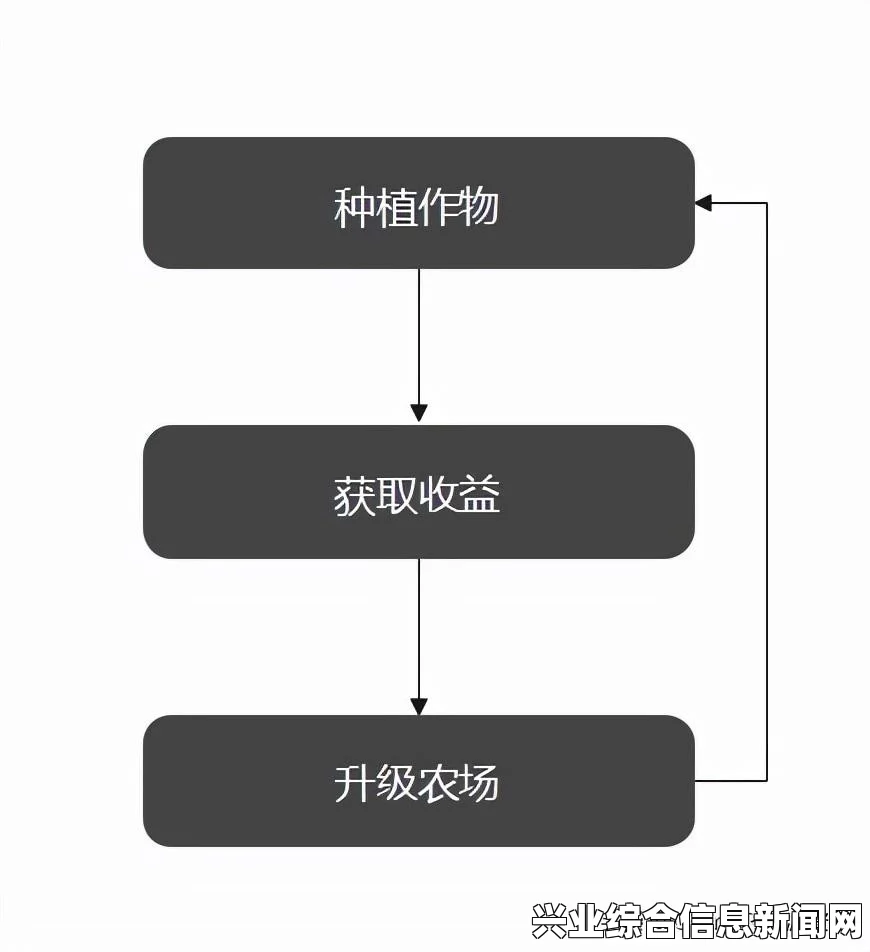 星露谷物语房子背包与工具升级攻略解析，全面指南