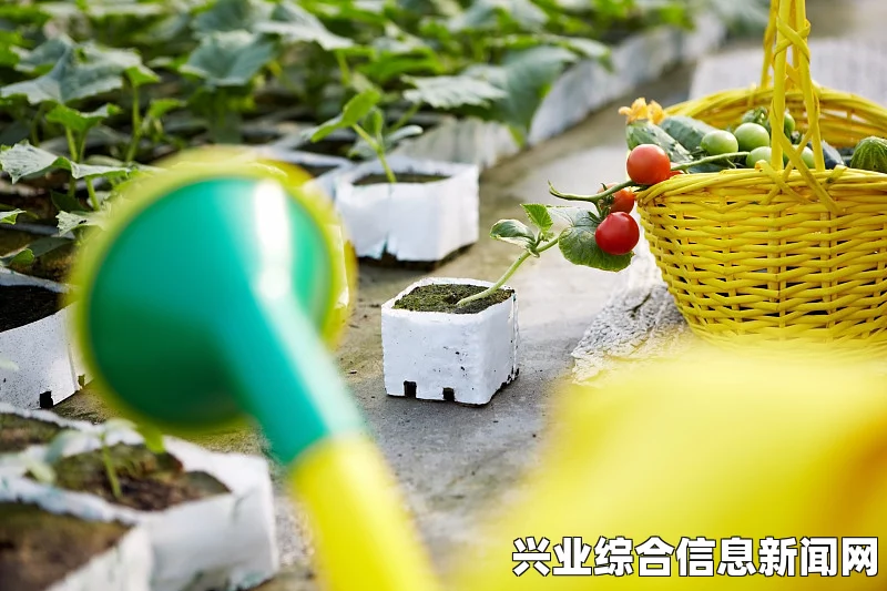 新作物与物品，创新种植引领未来风潮