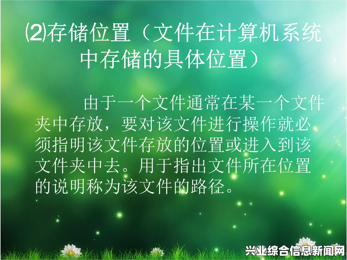 档案存放位置概览，关键信息与存储概述