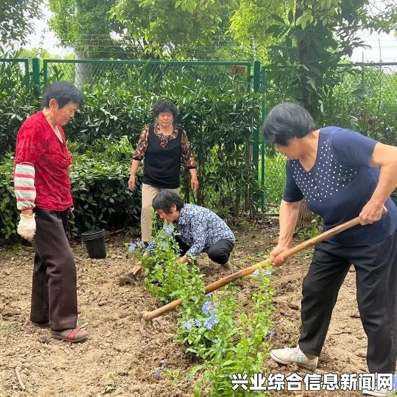 植物大战僵尸花园战争2运行无响应怎么办