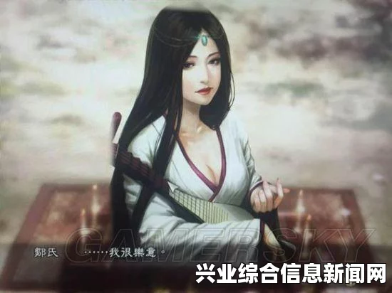 三国志13 抢其他武将老婆与三国志13娶妻夺妻心得