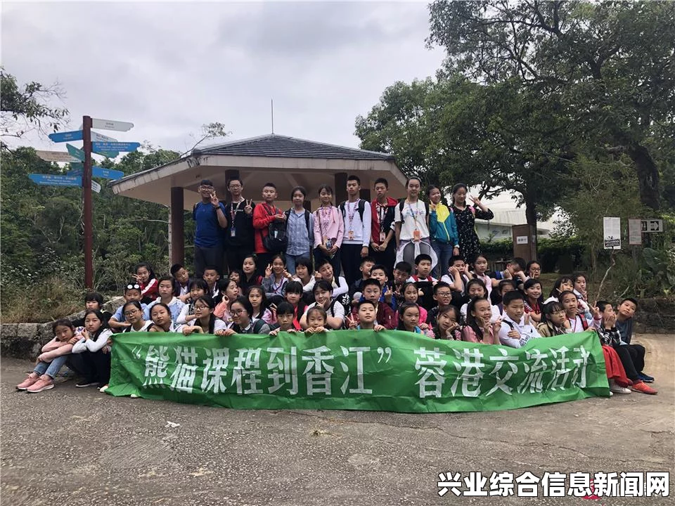 寻宝系统概述