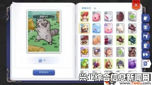 疯兔卡片简介