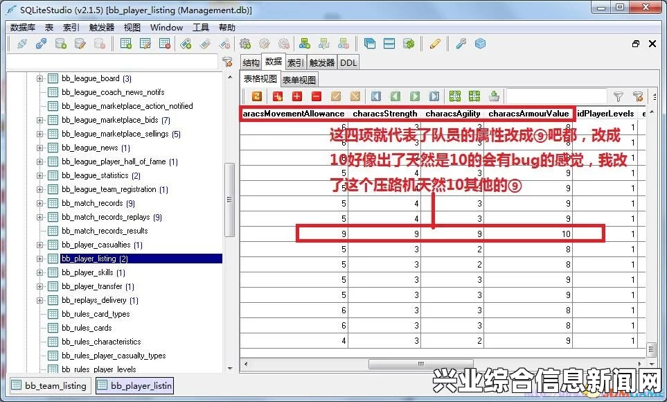 怒火橄榄球2与SQLite数据库修改攻略，如何高效使用SQLite？