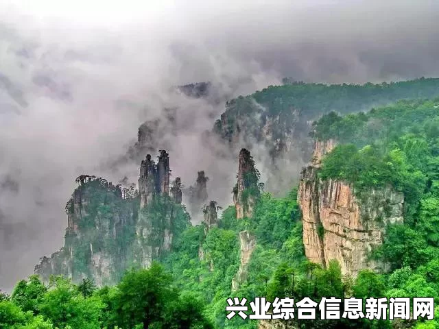 RO仙境物语，世界boss月夜猫打法心得