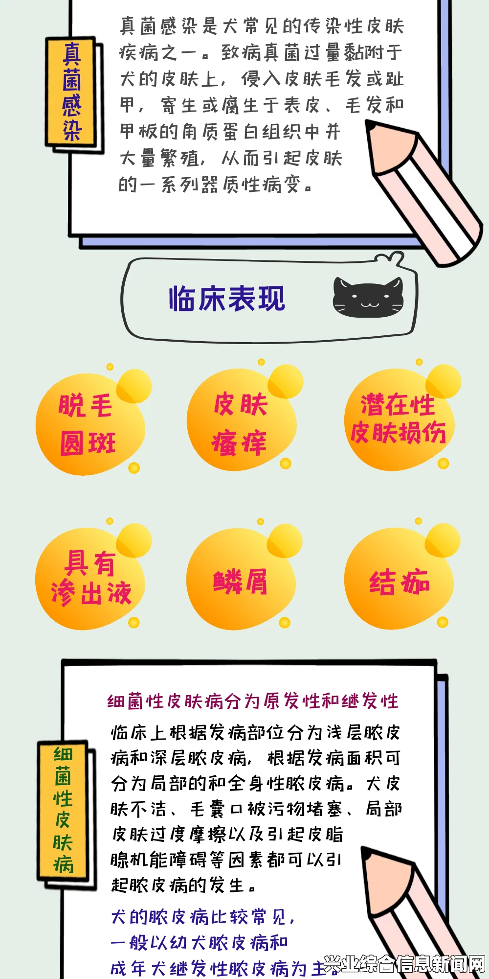 常见原因的深度解析与应对策略