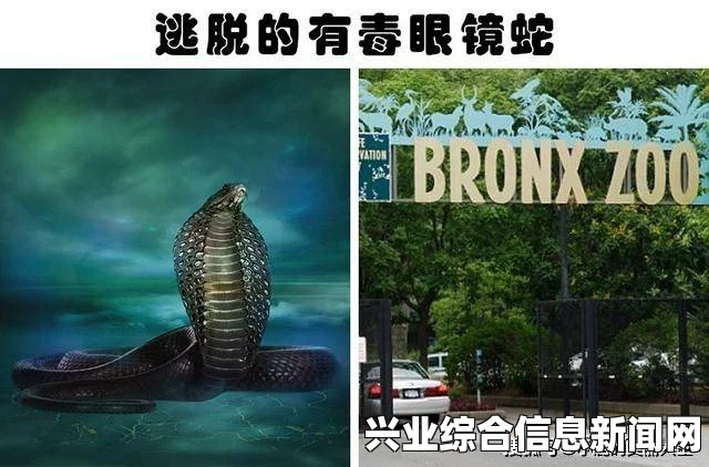 活体脑细胞遭遇大鱼蛇，逃跑路线及方法介绍分享