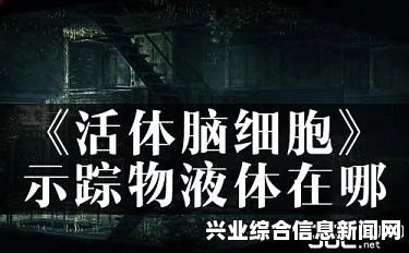 活体脑细胞研究，探索生命之谜的崭新领域