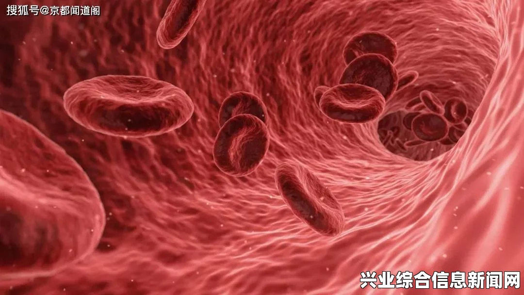 探索活体脑细胞与红色示踪液的神秘联系，揭示红示踪液的获取之路