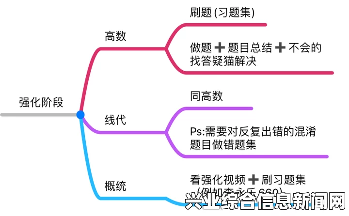 夯实基础知识的关键重要性