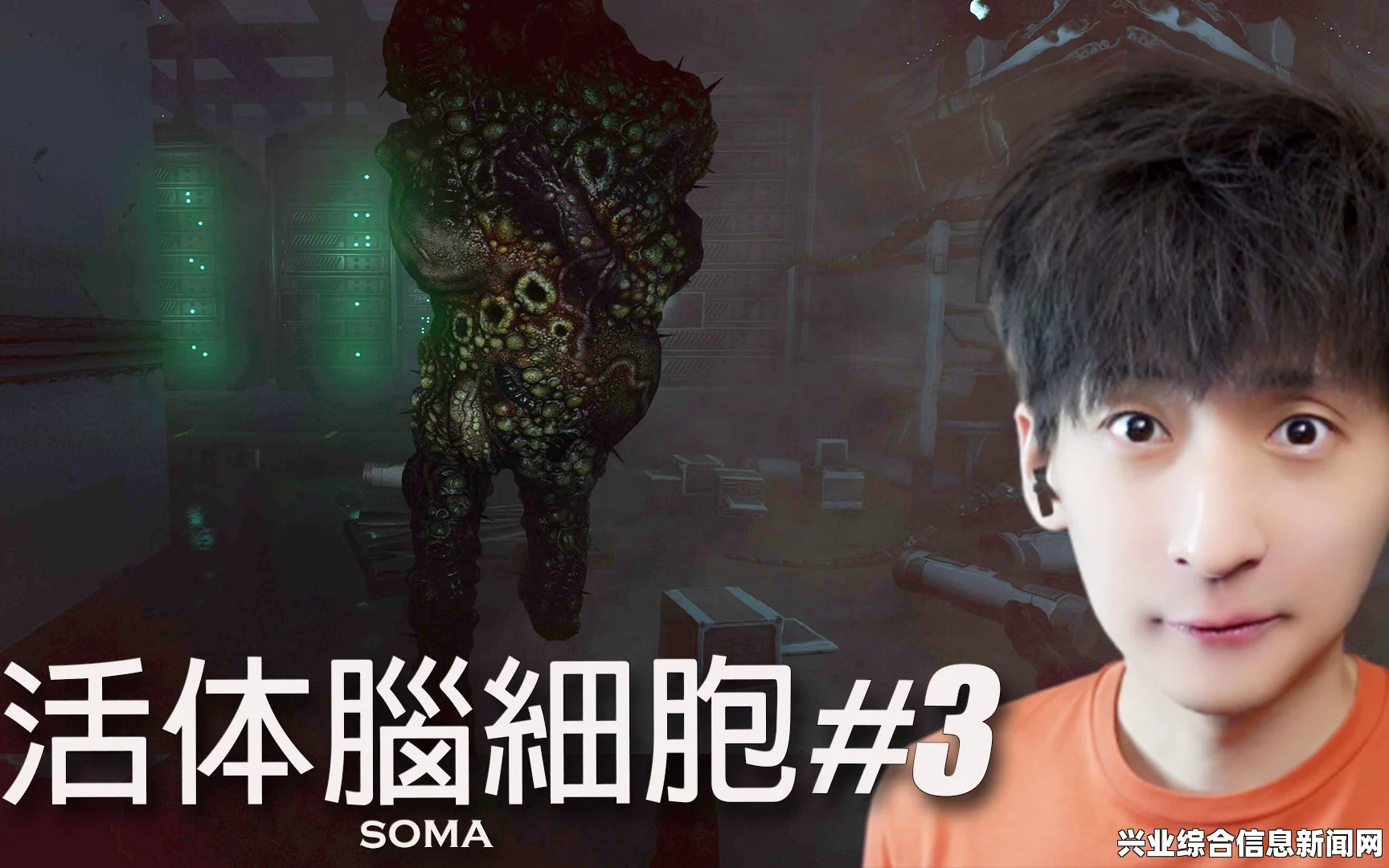 活体脑细胞通关心得分享，深度解读与SOMA游戏之旅