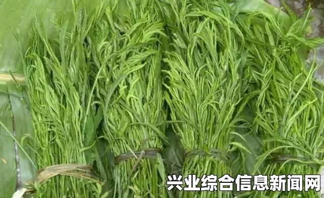 注意事项