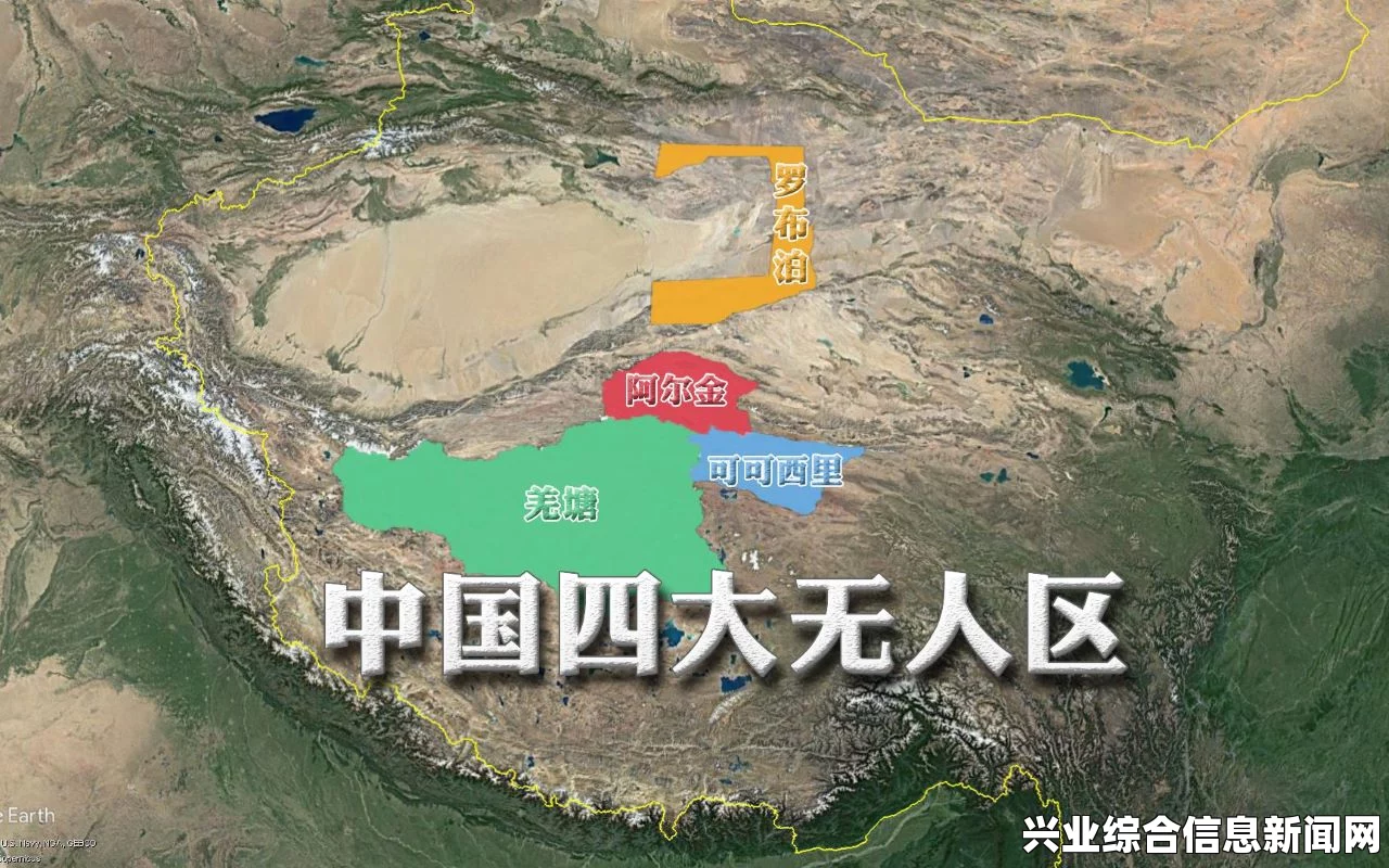 四大雷区地图详解，全面解读关键区域特性