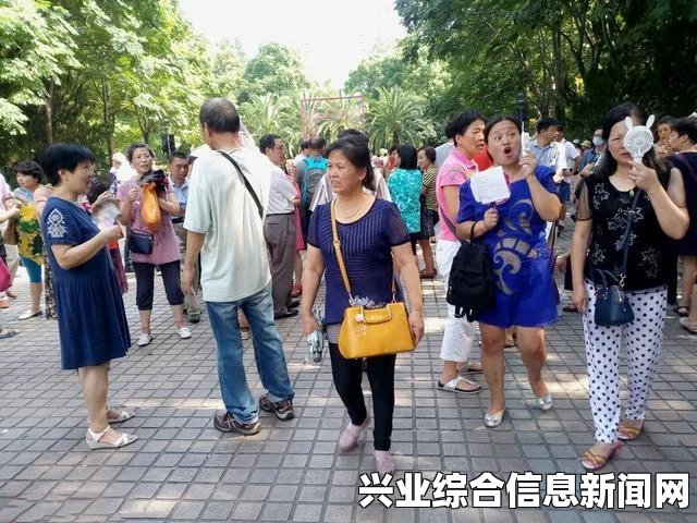 问题现象详解，探索背后的原因与解决方案