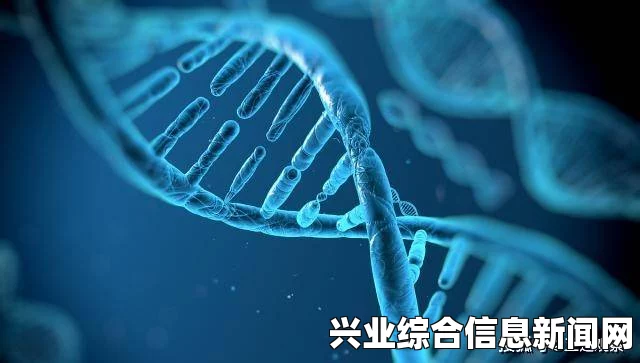 视角解锁的可能性