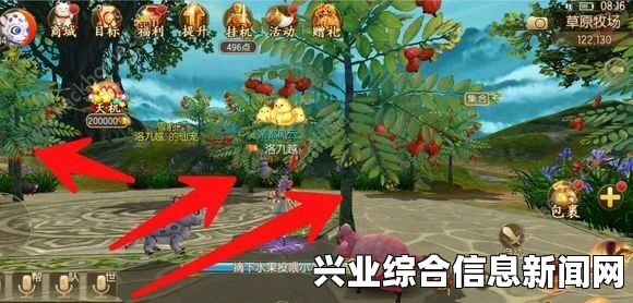 万智牌，摩登冥思—明灯控的春天与明灯套牌详解