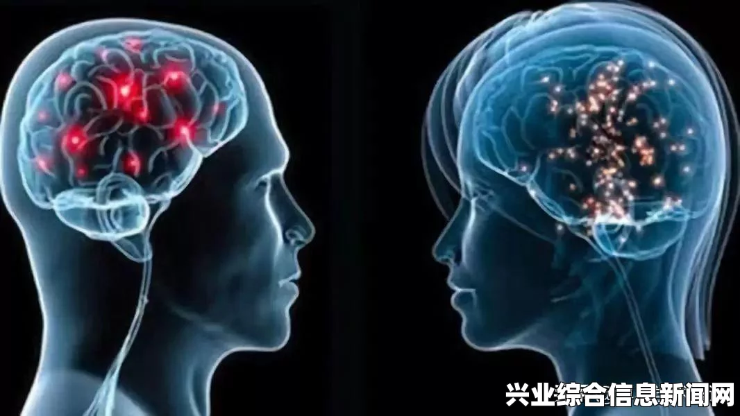 侵略行为全战役流程视频攻略及玩法介绍