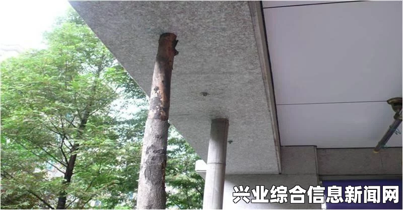 问题现象详解，探索背后的原因与解决方案