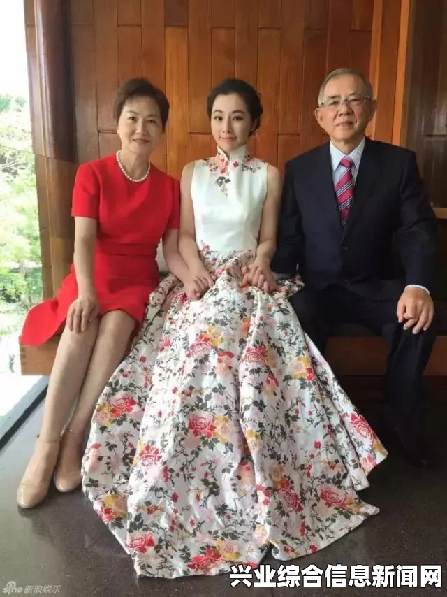 关卡挑战背景介绍与任务概览，勇闯难关之旅