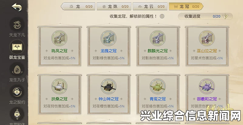 揭秘挂件系统，全面解析挂件功能与应用