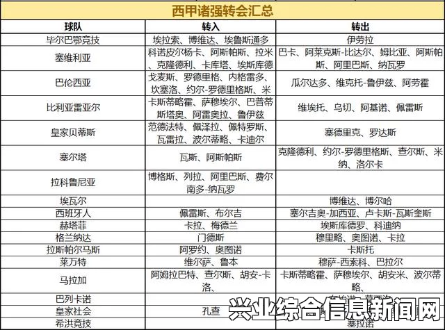 夏季转会市场操作指南，详解转会名单策略与步骤