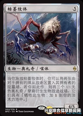 万智牌，投身瓦拉库，再战赞迪卡