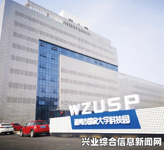 高效解决方案，多维度策略助力成功实现目标