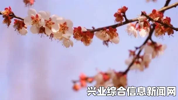 静静角色的深度解析
